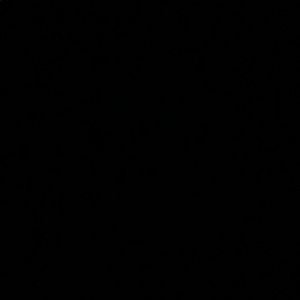 Meet your Posher, Papa